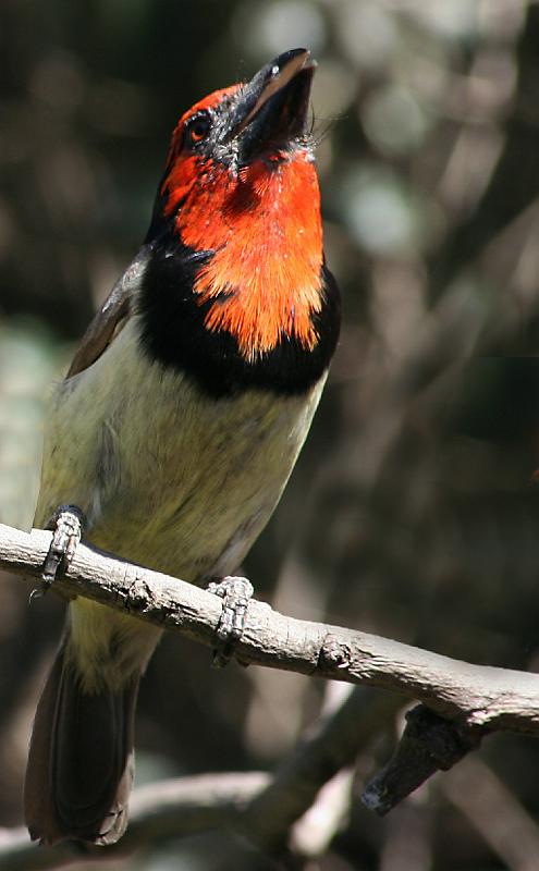 Woensdag 094.jpg - Wag vir my ek kom nou rus 'n bietjie.....